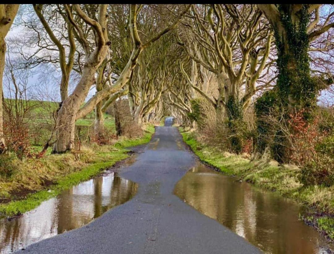 Divine Cottage Ballycastle Esterno foto