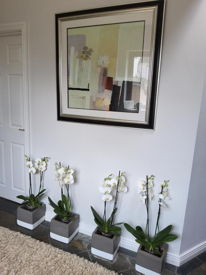 Divine Cottage Ballycastle Esterno foto